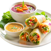 Vegetable Spring Rolls